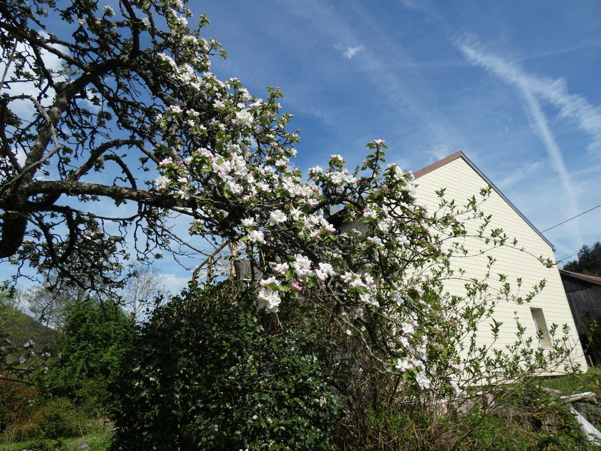 Au Val Des Meuris Bed & Breakfast Taintrux Exterior photo